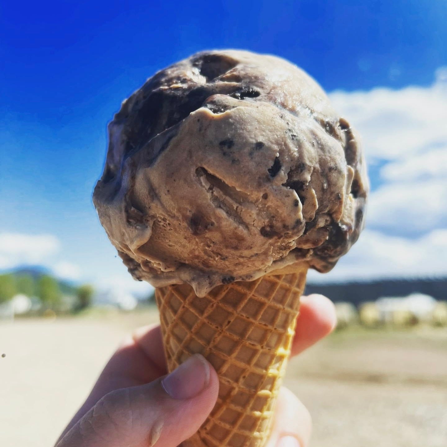 Shumway Farms Ice Cream Beck Ranch Premium Beef