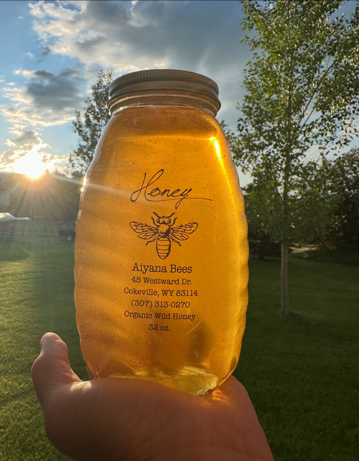 Aiyana Bees Organic Wild Honey