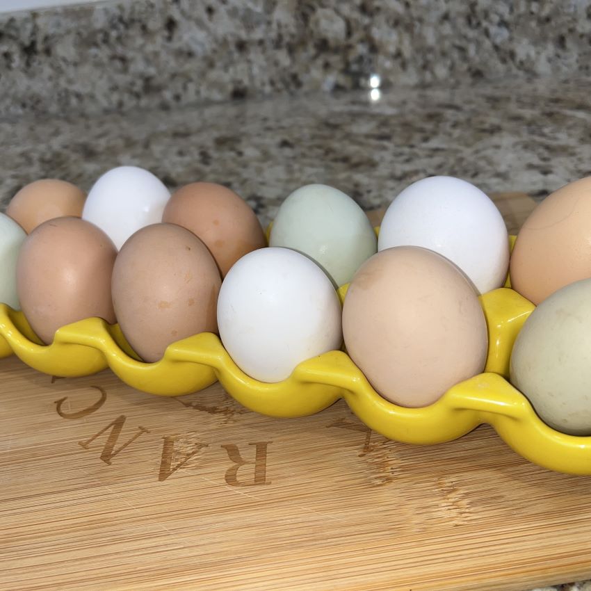 Farm Fresh Eggs - Local Delivery & Pickup only